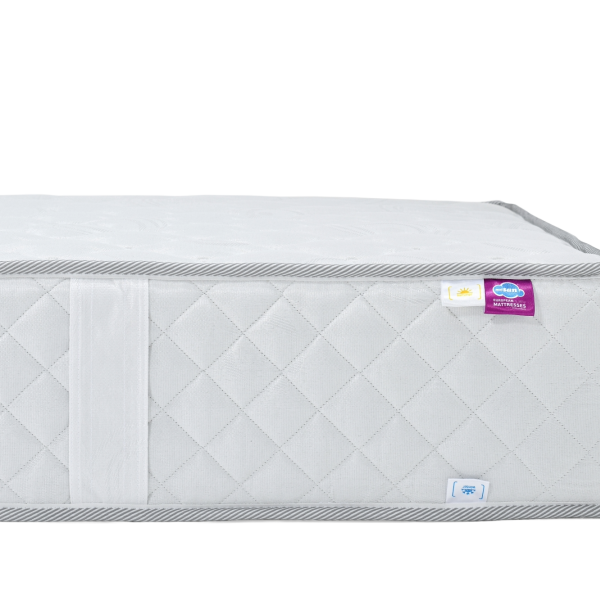 Adobe Express - file