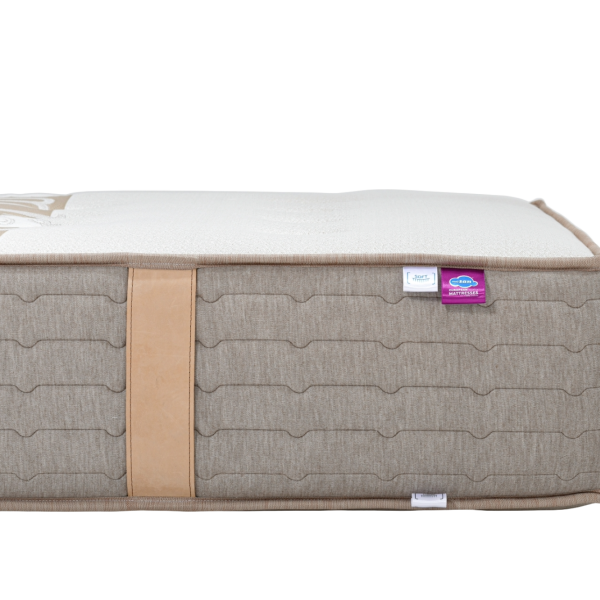 Woolly naslovna_png 2